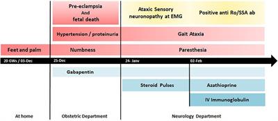 Ataxic sensory neuronopathy with isolated anti-Ro/SS-A antibody during pregnancy: a case report of adverse outcomes